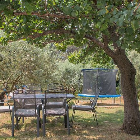 Apartman Olea プーラ エクステリア 写真